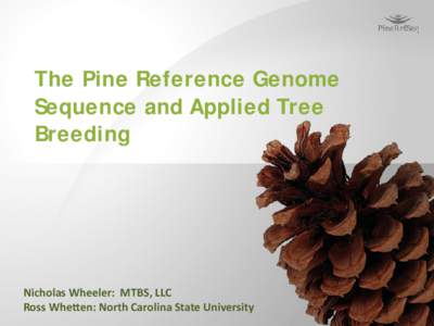 The Pine Reference Genome Sequence and Applied Tree Breeding Nicholas Wheeler: MTBS, LLC Ross Whetten: North Carolina State University