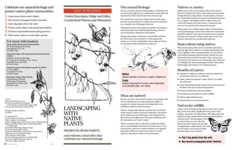 Quercus velutina / Carya glabra / Soil pH / Natural landscaping / Juniperus virginiana / Flora of the United States / Phlox / Polemoniaceae