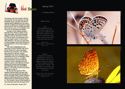 36 American Butterflies, Summer[removed]by Michael Reese Opposite page Top: