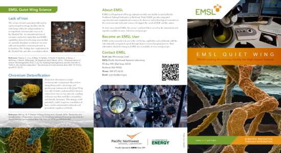 EMSL Quiet Wing Science  About EMSL Lack of Iron