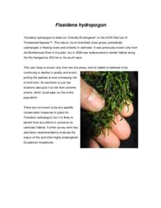 Fissidens hydropogon Fissidens hydropogon is listed as ‘Critically Endangered’ on the IUCN Red List of Threatened Species™. This robust, much-branched moss grows, periodically submerged, in flowing rivers and strea