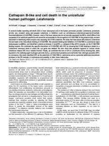 Cathepsin B-like and cell death in the unicellular human pathogen Leishmania