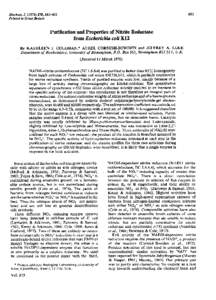 483  Biochem. J,Printed in Great Britain  Purification and Properties of Nitrite Reductase
