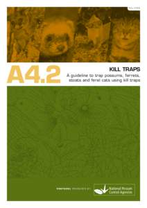 Ma yA4.2 KILL TRAPS A guideline to trap possums, ferrets,