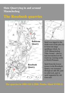 Microsoft Word - poster - rosebush quarries - 2.doc