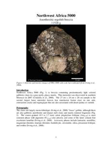 Northwest Africa 5000 Anorthositic regolith breccia[removed]g Figure 1: Exterior and interior images of NWA 5000 with scale bars indicated (from Irving et al., 2008).