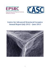 Centre for Advanced Structural Ceramics Annual Report July 2012 – June[removed]  SEM image of a complex ceramic structure obtained by self-assembling ceramic particles and