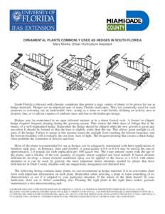 ORNAMENTAL PLANTS COMMONLY USED AS HEDGES IN SOUTH FLORIDA Mary Misitis, Urban Horticulture Assistant South Florida is blessed with climatic conditions that permit a large variety of plants to be grown for use as hedge m