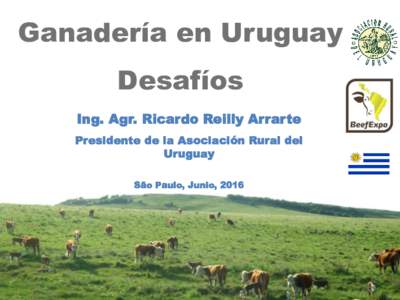 Ganadería en Uruguay Desafíos Ing. Agr. Ricardo Reilly Arrarte Presidente de la Asociación Rural del Uruguay São Paulo, Junio, 2016