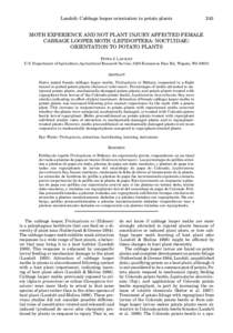 Landolt: Cabbage looper orientation to potato plants  243 MOTH EXPERIENCE AND NOT PLANT INJURY AFFECTED FEMALE CABBAGE LOOPER MOTH (LEPIDOPTERA: NOCTUIDAE)