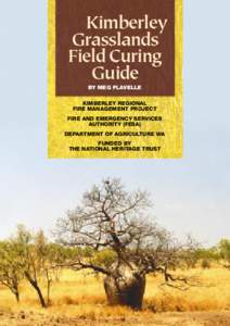 Kimberley Grasslands Field Curing