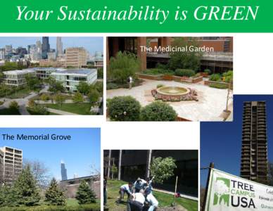 Your Sustainability is GREEN The Medicinal Garden The Memorial Grove  Your Sustainability is PINK