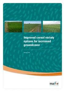 Microsoft Word - Improved cereal variety options for increased groundcover - Final.doc