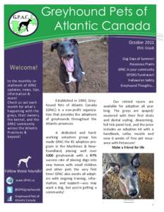 Greyhound Pets of Atlantic Canada October 2011 this issue Dog Days of Summer! Poisonous Plants
