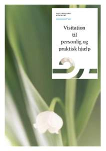 Visitation til personlig og praktisk hjælp  Visitation