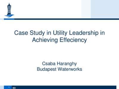 Case Study in Utility Leadership in Achieving Effeciency Csaba Haranghy Budapest Waterworks
