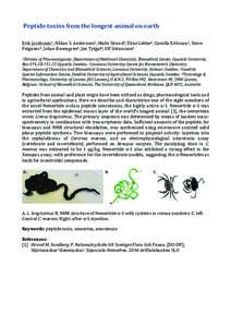    	
  Peptide	
  toxins	
  from	
  the	
  longest	
  animal	
  on	
  earth	
  	
      Erik	
  Jacobsson1,	
  Håkan	
  S.	
  Andersson2,	
  Malin	
  Strand3,	
  Eline	
  Lebbe4,	
  Camilla	
  Eriks