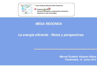 MESA REDONDA  La energía eficiente : Retos y perspectivas Manuel Eusebio Vázquez Alfaya Pontevedra, 12 Junio 2014