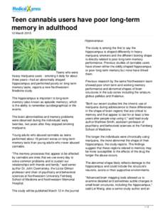 Teen cannabis users have poor long-term memory in adulthood