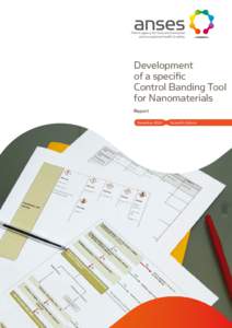 Development of a specific Control Banding Tool for Nanomaterials Report December 2010