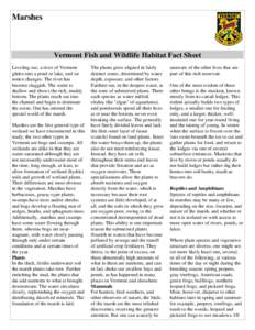 Marshes  Vermont Fish and Wildlife Habitat Fact Sheet Leveling out, a river of Vermont glides into a pond or lake, and we notice changes. The river has