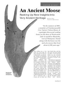 C O V E R  S T O R Y An Ancient Moose Racking Up New Insights Into