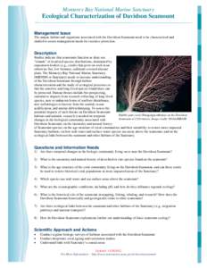 Monterey Bay National Marine Sanctuary  Ecological Characterization of Davidson Seamount Management Issue The unique habitat and organisms associated with the Davidson Seamount need to be characterized and studied to ass