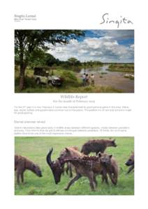 Singita Lamai Mara River Tented Camp Tanzania Wildlife Report For the month of February 2015