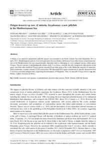 Toxicology / Pelagia noctiluca / Scyphozoa / Jellyfish / Rhizostomae / Aurelia / Drymonema / Cnidaria / Box jellyfish / Semaeostomeae / Zoology / Biology