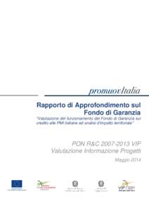 Rapporto di Approfondimento sul Fondo di Garanzia “Valutazione del funzionamento del Fondo di Garanzia sul credito alle PMI italiane ed analisi d’impatto territoriale”  PON R&CVIP
