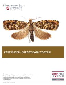 PEST WATCH: CHERRY BARK TORTRIX  By Lynell K. Tanigoshi, Department of Entomology, WSU Mount Vernon Northwestern Research & Extension Center, Beverly S. Gerdeman, Department of Entomology, WSU Mount Vernon Northwestern