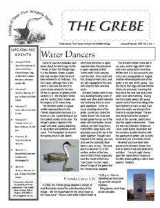 The  THE GREBE