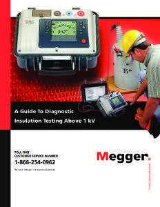 A Guide To Diagnostic Insulation Testing Above 1 kV