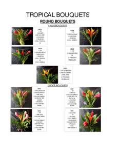 TROPICAL BOUQUETS ROUND BOUQUETS VALUE BOUQUETS[removed]TIP 2 GINGER