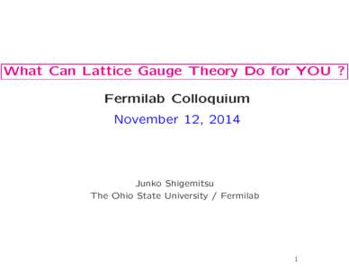 What Can Lattice Gauge Theory Do for YOU ? Fermilab Colloquium November 12, 2014 Junko Shigemitsu The Ohio State University / Fermilab