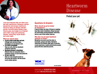 Heartworm Disease Protect your pet Just one mosquito bite can infect your pet with heartworms. Mosquito carriers spread the microscopic heartworm