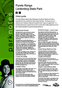 Microsoft Word - Pyretes Text Dec 2010