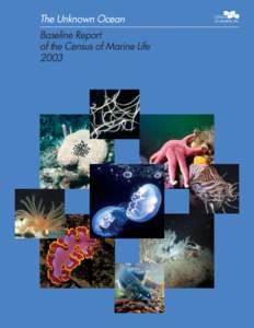 The Unknown Ocean Baseline Report of the Census of Marine Life[removed]CENSUS