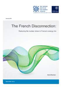 January[removed]The French Disconnection: Reducing the nuclear share in France’s energy mix  David Buchan