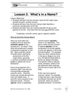 FISH ECOLOGY  Lesson 5. What’s in a Name? Lesson Objectives:  Students will learn that the common name for fish might mean something else in another country.