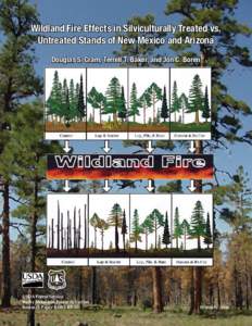 Wildland fire effects in silviculturally treated vs. untreated stands of New Mexico and Arizona