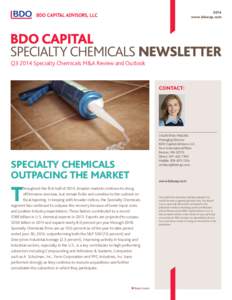 2014 www.bdocap.com Q3 2014 Specialty Chemicals M&A Review and Outlook  CONTACT: