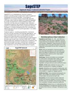 Biology / Grasslands / Ecological succession / Rangeland / Vegetation / Biogeography