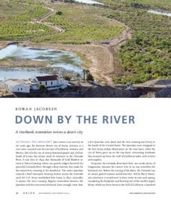 R owa n J ac o b s e n  Down by the river A riverbank restoration revives a desert city Although you wouldn’t have known it as recently as ten years ago, the Sonoran Desert city of Yuma, Arizona, is a