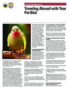 U.S. Fish & Wildlife Service  Traveling Abroad with Your Pet Bird  Prab Bhatia CC BY-NC-ND 2.0