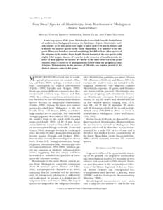 Copeia, 2002(4), pp. 1057–1062  New Dwarf Species of Mantidactylus from Northwestern Madagascar (Anura: Mantellidae) MIGUEL VENCES, FRANCO ANDREONE, FRANK GLAW,