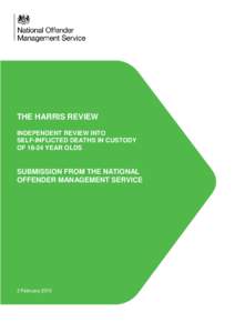 THE HARRIS REVIEW INDEPENDENT REVIEW INTO SELF-INFLICTED DEATHS IN CUSTODY OFYEAR OLDS  SUBMISSION FROM THE NATIONAL