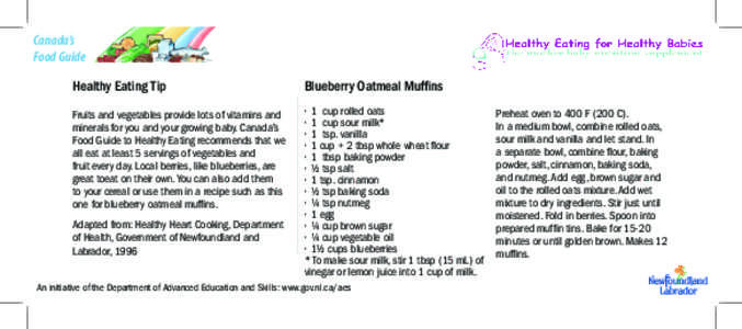 Canada’s Food Guide Healthy Eating Tip Blueberry Oatmeal Muffins