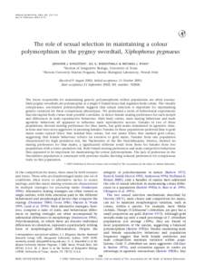 ANIMAL BEHAVIOUR, 2003, 65, 735–743 doi:anbe, The role of sexual selection in maintaining a colour polymorphism in the pygmy swordtail, Xiphophorus pygmaeus JENNIFER J. KINGSTON*, GIL G. ROSENTHAL† 