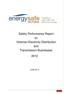 Microsoft Word[removed]Safety Performance Report on MECs  - FINAL FOR WEBSITE[removed]docx